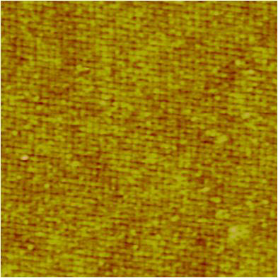 연구진에서 구현한 규칙적 으로 자기조립 정렬된 S-layer의 AFM 이미지