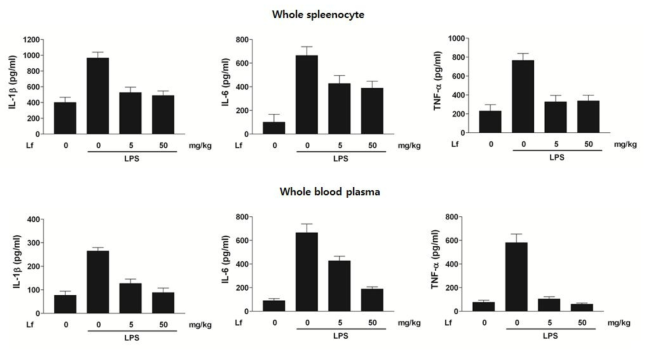 전신 염증성 동물 모델에서 Lf 음용에 따른 사이토카인 발현 분석