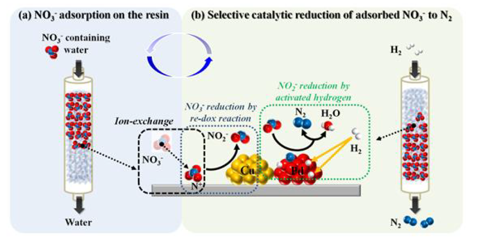Pd와 Cu를 담지한 이온교환수지를 이용한 나이트레이트 이온교환/촉매분해 순환 공정 모식도