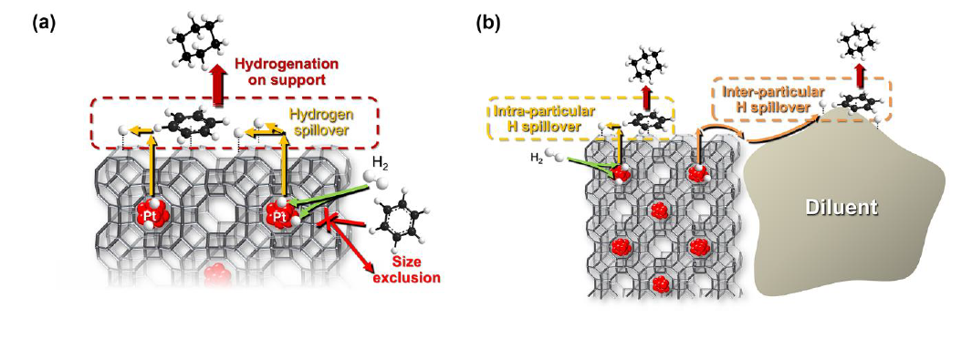 (a) LTA 구조의 제올라이트를 이용한 수소 스필오버 모델 촉매 시스템 및 (b) 이와 diluent가 물리적으로 섞인 샘플에서 일어날 수 있는 활성화된 수소 원자의 이동 경로