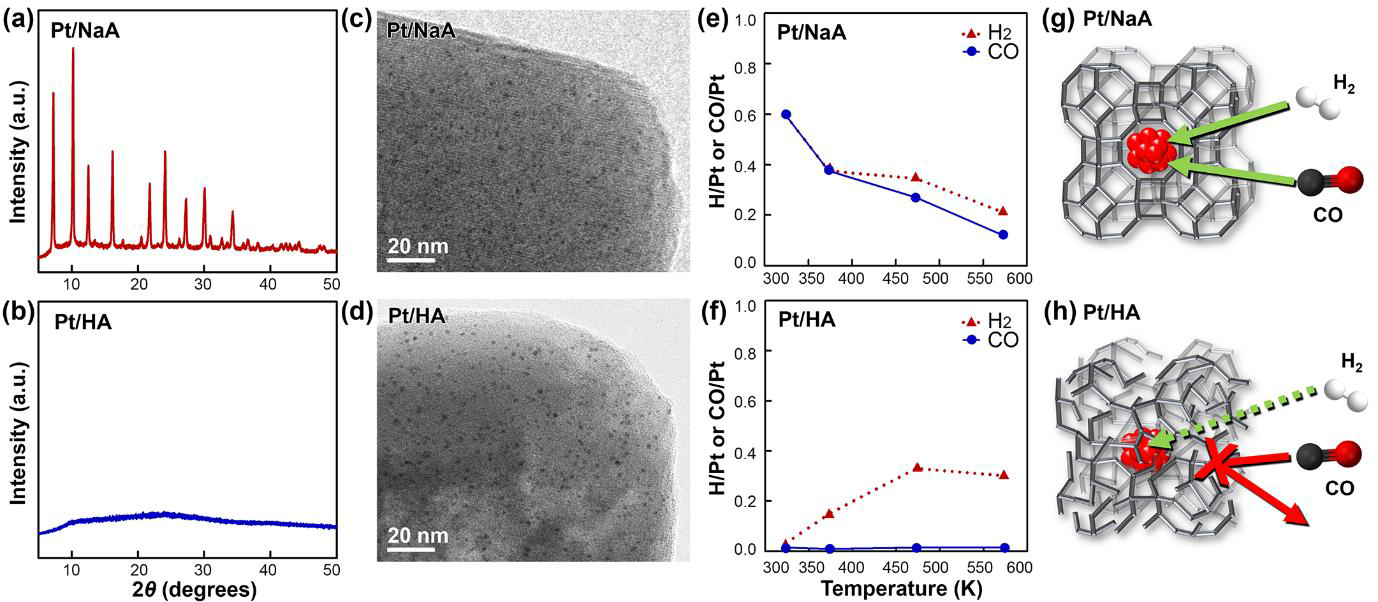 Pt/NaA 및 Pt/HA 의 (a, b) XRD 패턴, (c, d) TEM 이미지, (e, f) H2/CO 화학흡착, (g, h) 흡착 모식도
