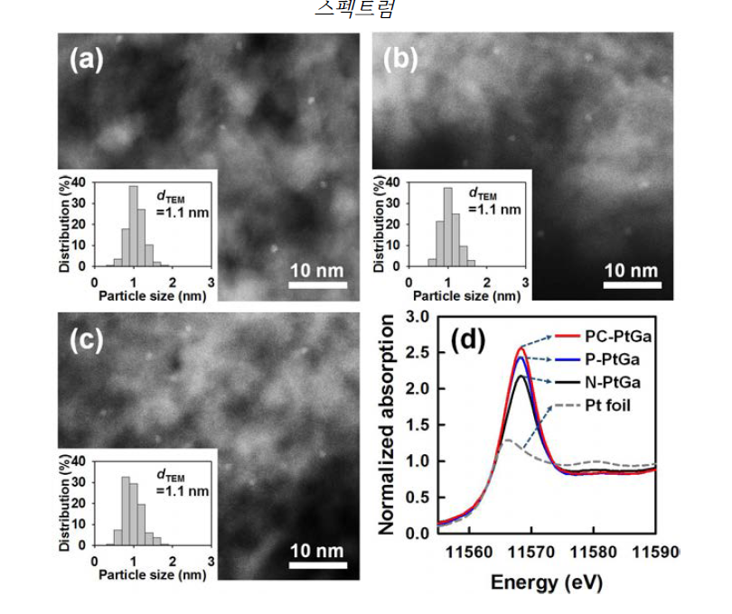 (a) N-PtGa, (b) P-PtGa, (c)PC-PtGa 의 HAADF-STEM 이미지 및 (d) Pt L3-edge XANES 스펙트럼