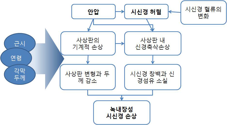 녹내장의 병태생리에 대한 새로운 이해