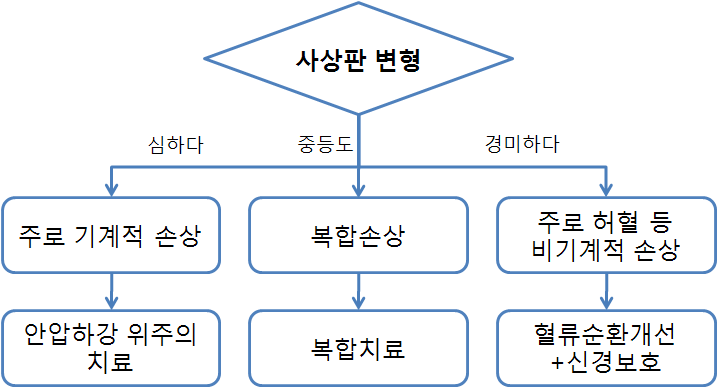 본 연구과제의 결과를 토대로 제시할 수 있는 녹내장치료 전략수립 모델.