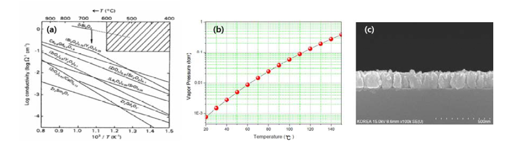 Bismuth oxide 물질의 Conductivity, (CH)3Bi-Precursor 증기압 및 SEM image