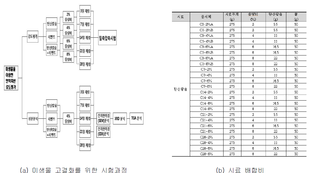 미생물을 이용한 주입개발재 강도평가 시험