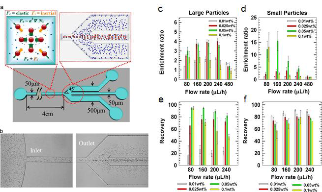 (a) 단면이 사각형 형상인 채널에서 관성력과 탄성력의 결합에 의한 입자 삼차원 정렬 현상을 이용 한 입자 크기별 분리용 랩온칩: Fe: 탄성력; Fi; 관성력. 탄성력은 입자 크기의 3승에 비례. (b) 입구에서 무작 위 분포를 가지는 입자들이 출구에서 큰 입자는 중앙에 정렬되고 작은 입자는 분산되어 있어 분리가 가능한 것을 나타내는 그림. 사용된 채널의 높이는 50 μm. (c), (d) 고분자 농도 및 유량별 입자 농축도 (enrichment ratio): (c)의 경우는 그림 (b)에서 가운데로 정렬되는 큰 입자의 농축 정도를 나타내고 (d)는 측면에서 수집된 작은 입자의 농축 정도를 나타냄. (e), (f)는 가운데와 측면에서 수집된 큰 입자와 작은 입자의 회수율을 나타 냄