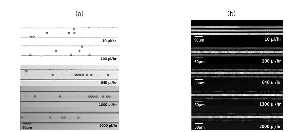 DI water 바탕의 Xanthan gum 0.1 wt% 용액의 유량에 따른 입자 이동의 (a) snap image와 (b) standard deviation image.