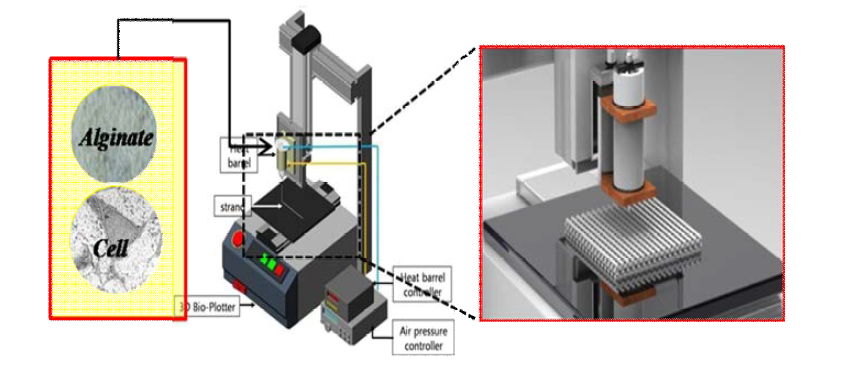 세포 프린팅을 위한 용융 plotting 장비 기본 모식도