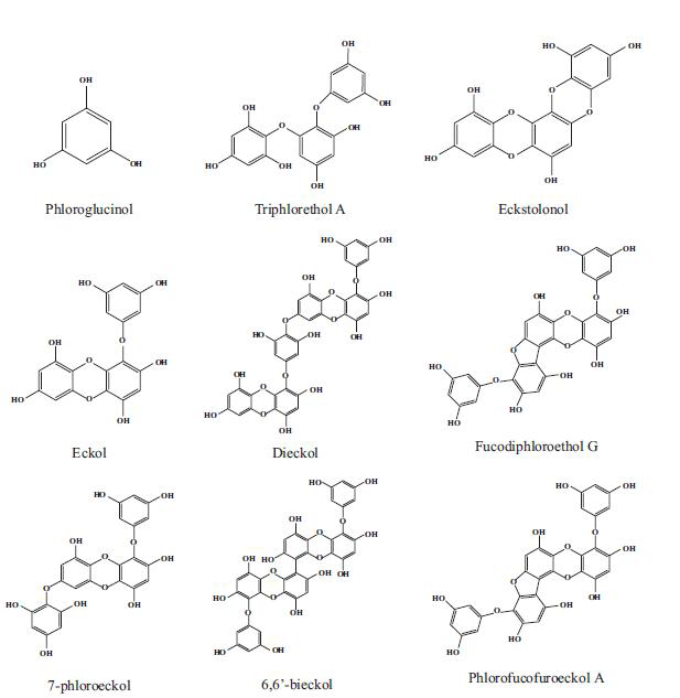 Eckloia cava로부터 추출된 주요 compounds structure