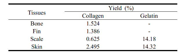 넙치 뼈, 비늘 및 피부로부터 추출한 콜라겐 수율