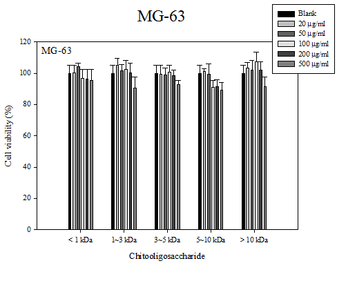 COS 첨가에 따른 조골세포 (MG63) 생존율 측정