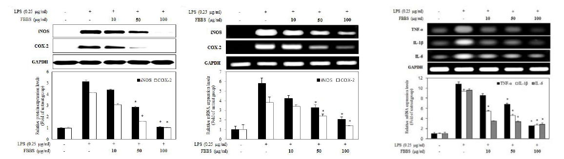 RAW264.7 macrophage 내 어뼈 유래 활성물질의 iNOS, COX-2의 단백질, mRNA 발현수준 검토 및 염증성 cytokine mRNA 발현수준 검토