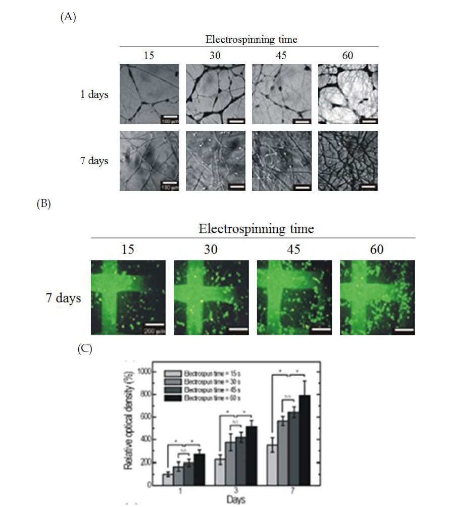 전기방사 시간에 따른 hybrid 세포담체의 세포증식률