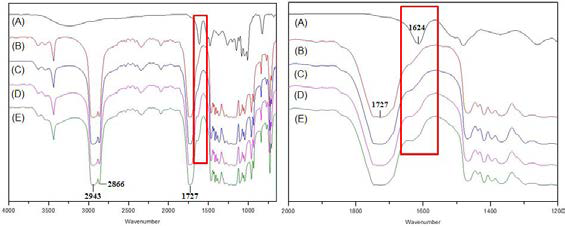 Phlorotannin에 의해 코팅된 PCL 2D film의 FT-IR 분석결과