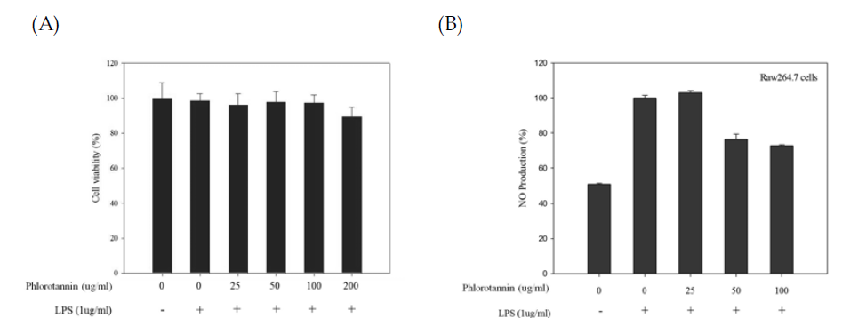 Phlorotannin 융합형 PCL 필름에서의 (A)세포독성 및 (B)NO 생성율 억제효능