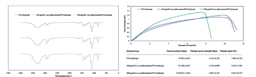 플로로탄닌 융합형 PVA hydrogel FT-IR 측정 및 물리적 강도 측정