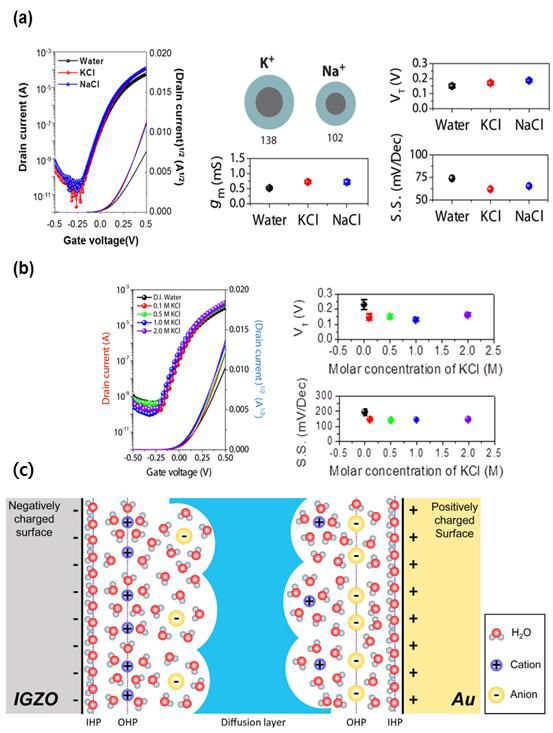 전해질 수용액의 이온종, 이온농도에 따른 IGZO 기반 트랜지스터 구동능력 변화