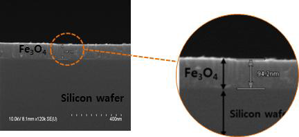 SEM image of magnetite thin film