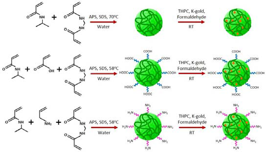 일반적인 라디갈 중합으로 합성한 금입자가 포함된 나노젤의 합성 메커니즘