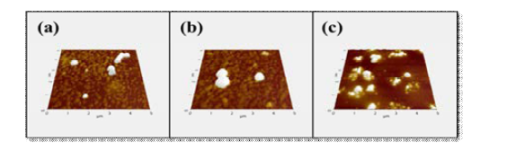 AFM 이미지를 통해 확인한 서로 다른 종류의 나노젤 (a) NIPAM, (b) NIPAM with NH2, (c)NIPAM with AA. 구형의 형체를 갖는 부분이 나노젤의 형태