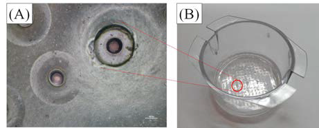 Structure of Microwell