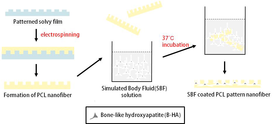 골 유사 성분이 코팅된 패턴화된 다공성 나노 섬유 제작 과정의 모식도