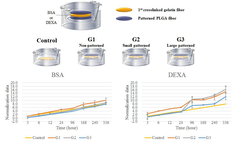 젤라틴/패턴화된 PLGA 나노 섬유에 로딩된 BSA, DEXA의 방출 속도 비교