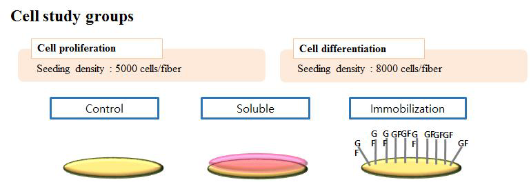 성장인자가 고정된 나노 섬유에서의 세포 증식 및 분화 평가를 위한 세포 배양 실험 그룹을 나타내는 모식도