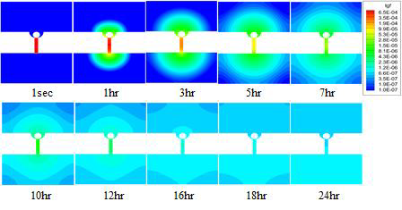 PDMS microwell내에 담지된 FGF-2의 방출 시뮬레이션 이미지