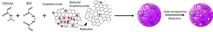 라디칼 중합과 물리적 결합으로 합성된 GO 또는 rGO와 금 나노입자가 포함된 나노젤의 합성 메카니즘