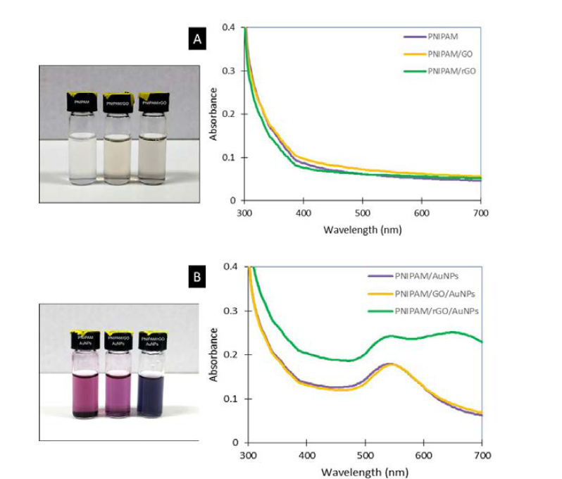 UV-VIS spectra 분석을 통한 PNIPAM/GO 또는 PNIPAM/rGO 나노젤에 금 나노입자 담지 여부 확인 및 나노젤 용액의 색 변화.