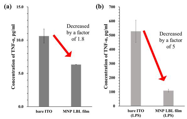 층상분자조립법을 통해 ITO기판 위에 증착된 멜라닌의 효과로 인한 Raw 264.7 세포의 TNF-α 분비량의 변화 (a) bare ITO와 MNP LBL 코팅 필름, (b) LPS 조건하에서의 bare ITO와 MNP LBL 코팅필름