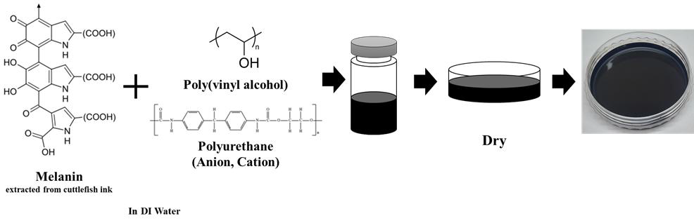 멜라닌/고분자 복합재 필름 제조 공정 모식도