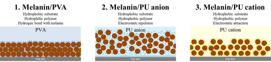 멜라닌/고분자 복합재 필름의 구조 모식도