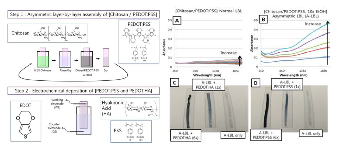 (좌) 본 연구팀에서 개발한 천연 탈세포 SIS ECM에 PEDOT을 코팅하는 2단계 공정. (우) PEDOT을 층상 분자조립법으로 Chitosan과 코팅한 결과 분석