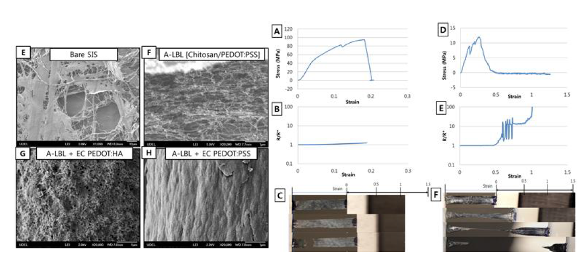 (좌) SIS ECM에 PEDOT을 코팅하면서 나타나는 표면의 SEM 이미지(우) PEDOT 코팅된 ECM을 마른상태 및 PBS 용액상에서 기계인장 및 전기전도성 동시측정결과
