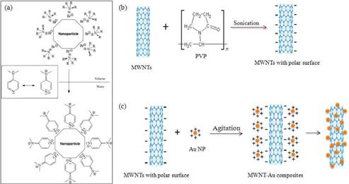 CNT-Au 복합체 제조과정