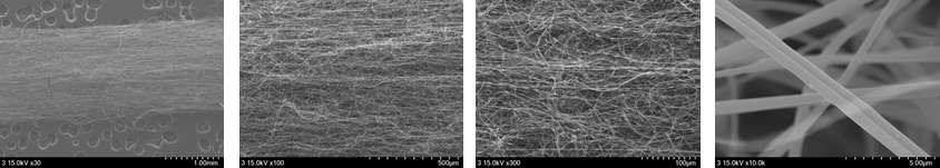 톱니바퀴형 컬렉터의 회전속도에 따른 배향된 zein 나노섬유의 SEM 사진 (회전속도: 50 rpm)