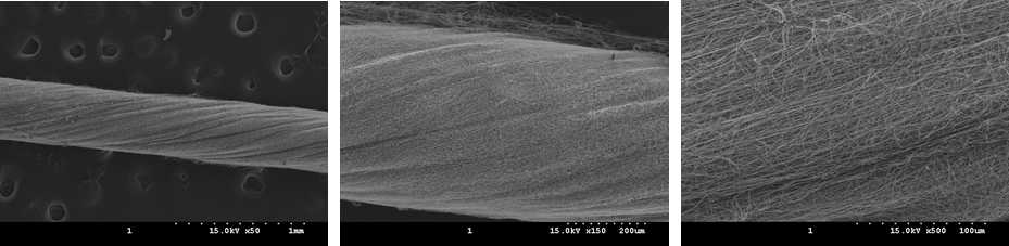 톱니바퀴형 컬렉터 및 twister를 이용한 배향된 PVA 나노섬유 yarn의 SEM 사진