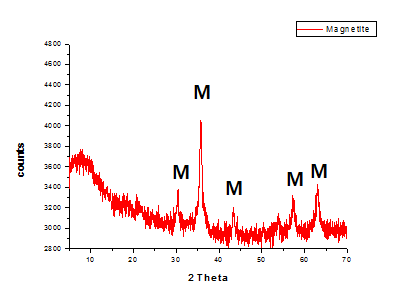 금속환원미생물에 의해 합성된 자철석의 XRD 분석 결과