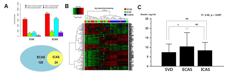 두개외동맥경화증 (ECAS) 및 두개내동맥경화증 (ICAS)의 mRNA microarray 결과.