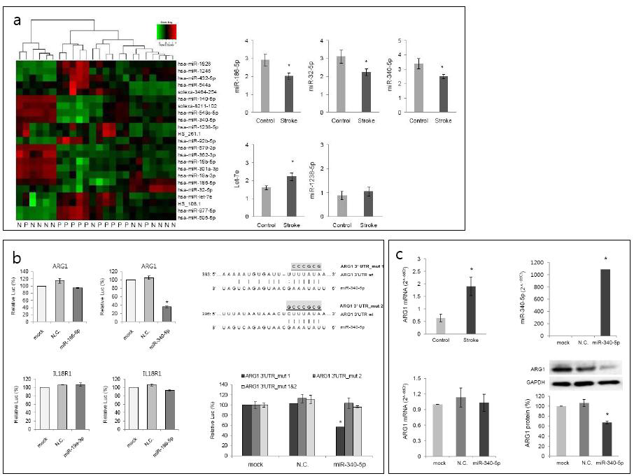 뇌졸중 환자와 정상군에서 특이 혈중 miRNA 및 타겟유전자 도출 (miR-340 and Arginase-1).