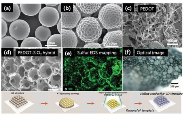 VPP로 형성된 3-D conductive scaffold