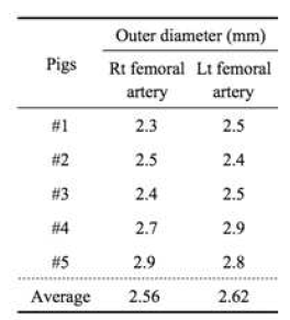 대퇴동맥의 외경 측정값