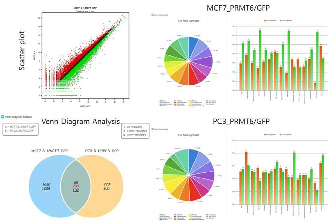 Next Generation Sequencing (NGS) analysis.