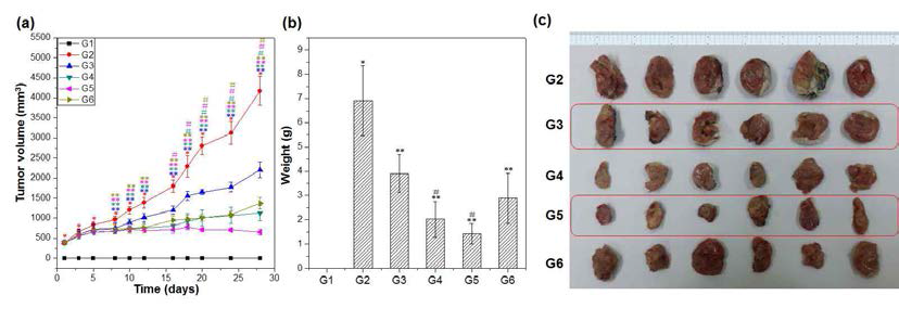 외부전기장을 가했을 때 GNR을 처리한 동물을 대상으로 Tumor volume 변화