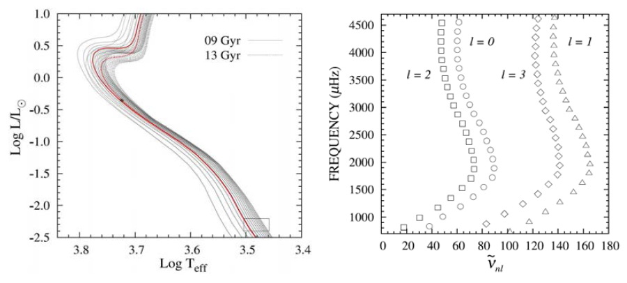 Theoretical isochrones and the Echell spectrum of the primary star