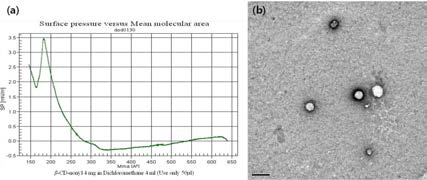 (a) pressure area isotherm for a Langmuir monolayer and (b) TEM image of 5b.