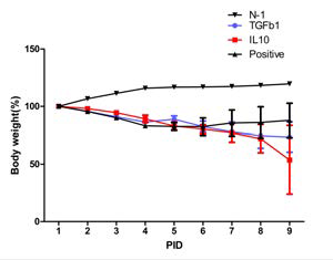 (우). 인플루엔자 바이러스 감염 후 TGF-b 및 IL-10 투여군의 체중 변화